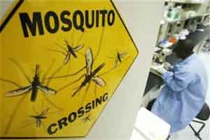 Health experts sensitise councillors on dengue, malaria