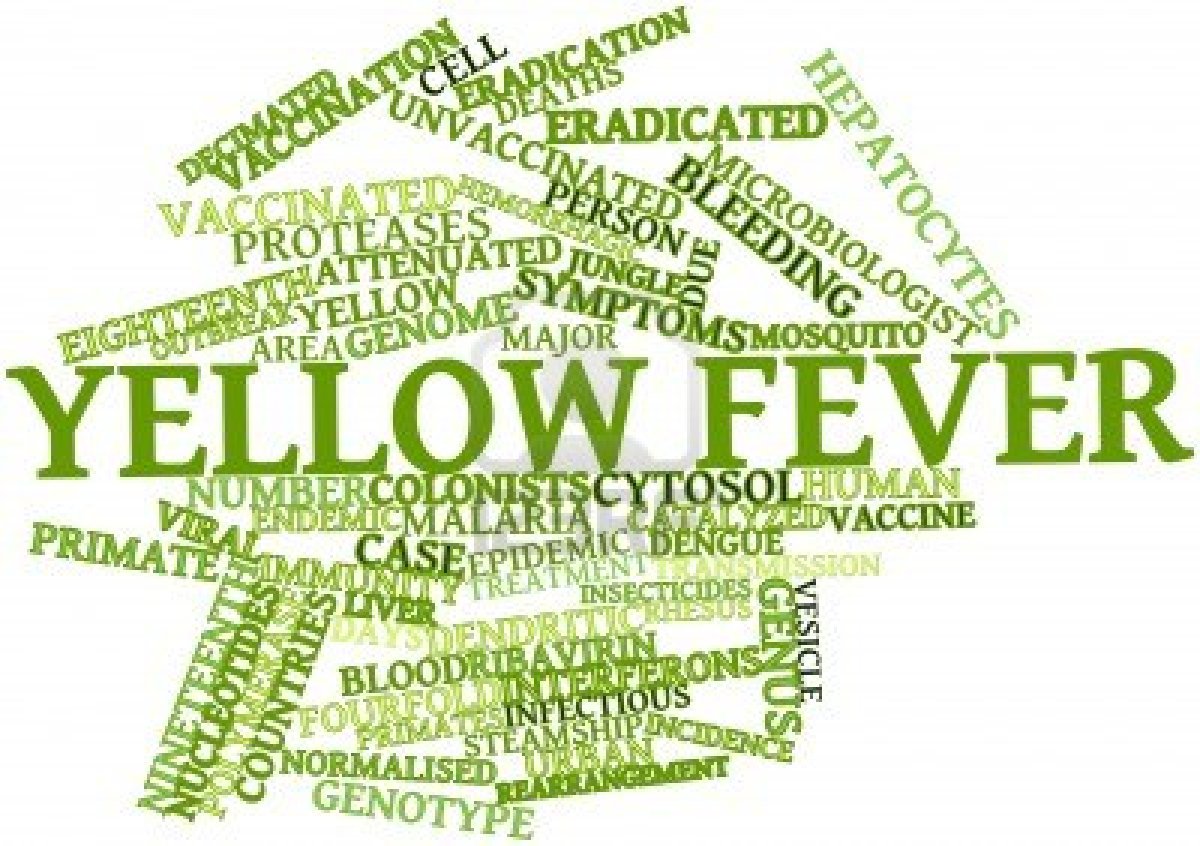 Online application for yellow fever vaccine: NDMC