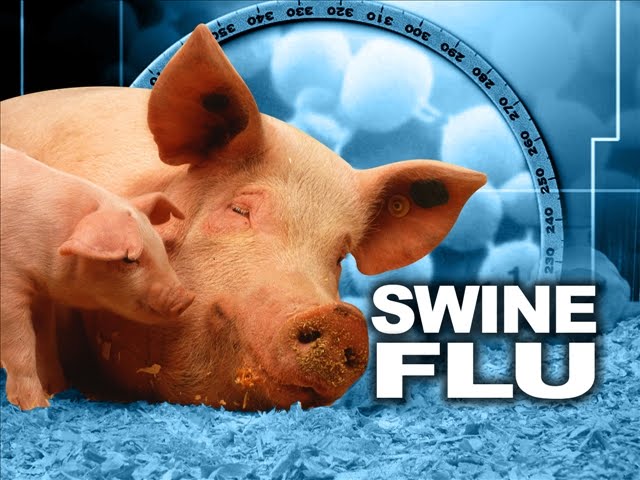 Swine Flu death toll has touched 66, reports JP Nadda to Lok Sabha