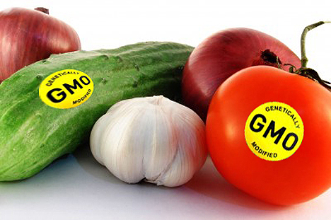 Genetically modified organisms have anti-cancer properties, says an Indian American researcher