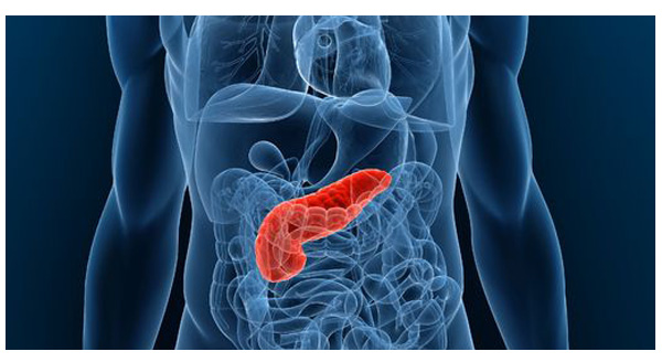 Researchers find experimental drug for pancreatic cancer