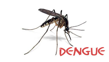 New Delhi: Nearly 120 Dengue Cases Reported in the state