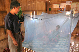 Malaria death rates plunge by 60%: joint WHO-UNICEF report