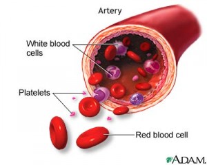 Rise for demand in platelets leading to chaotic situation in Delhi