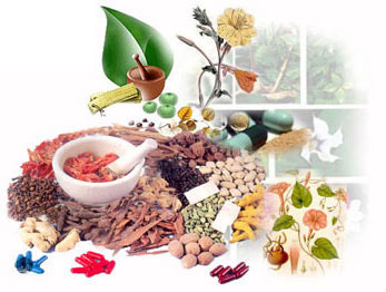 Chhattisgarh plans to start large scale production of herbal drugs