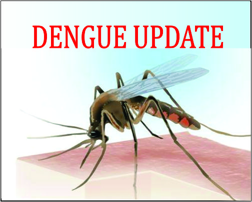 Delhi: Dengue cases rise to 2,774