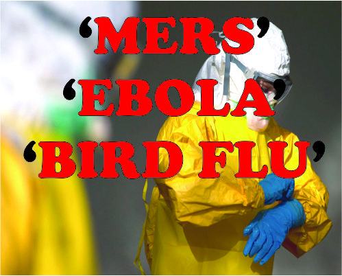 MERS, Ebola, bird flu: Sciences big missed opportunities