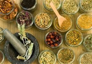 Government focused on development of Unani medicine, says AYUSH minister