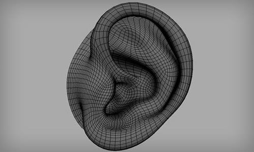 Researched identify new ears carving method using 3D printing