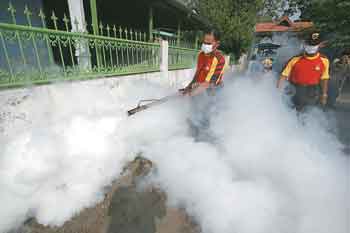 Fogging Not Harmful, an Effective Method to Dengue: Government