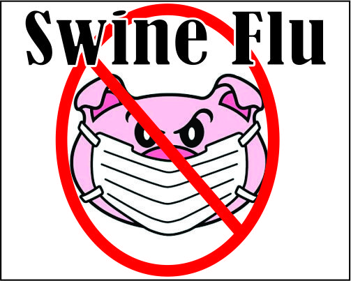 22 Swine Flu Cases In Rajasthan In 10 Days