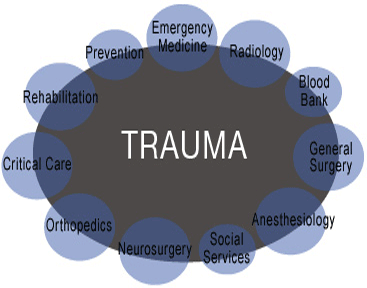 Government sanctions Rs 17 crore for trauma care facilities in Himachal Pradesh