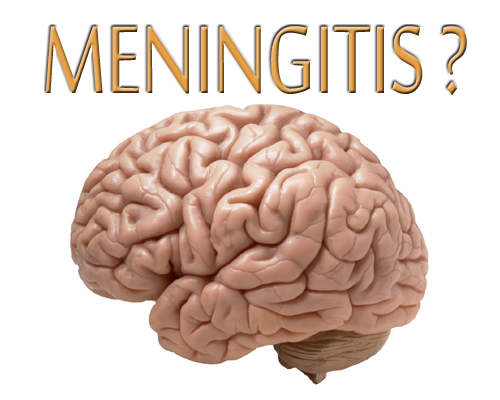 Indian vaccine for meningitis hailed in Africa