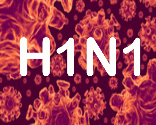 Fresh H1N1 guidelines issued by the Health Ministry to the states