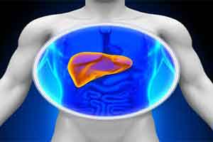 Bengaluru-based firm says 3D printed liver tissue developed