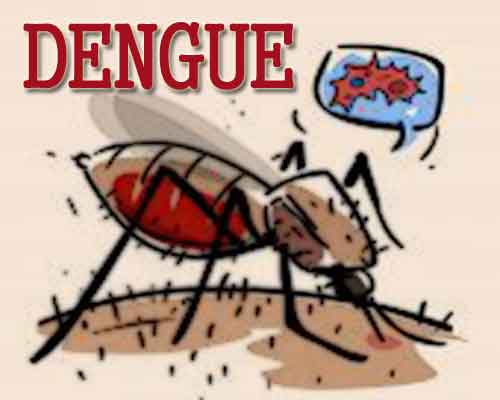 New Delhi: Govt plans to open 350 dengue clinics