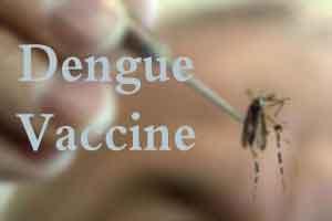 Researchers identify drug target for dengue virus