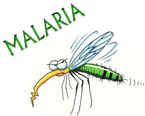 Now, Rs 12 device to detect malaria