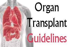 Gujarat: New guidelines for organ transplant proposed