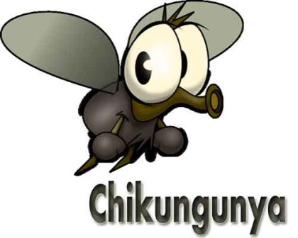 chikungunya01