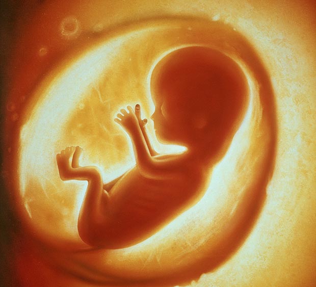 Rajasthan: Foetus found in ice-box raises alarm bells at SMS hospital