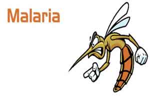 3D structure of causative agent of malaria constructed