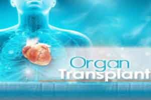 New Policy : Govt staff going for organ transplant can use private airline