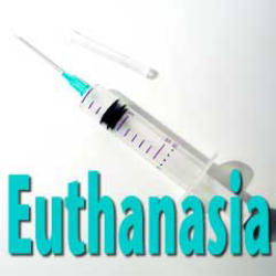 Portugal parliament rejects legal euthanasia