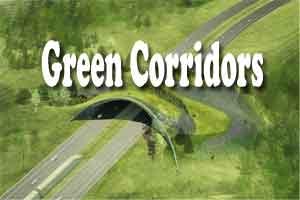 New Delhi: Green corridors save six lives