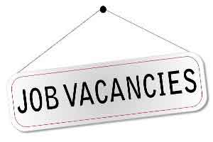 Delhi : Government takes out vacancies for posts for assistant professors