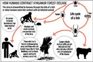 Goa records seventh monkey disease death