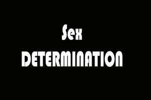 Chandigarh: 1 lakh award for information about sex determination