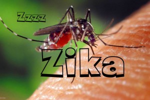 Zika: UN health agency launches database on worldwide virus research