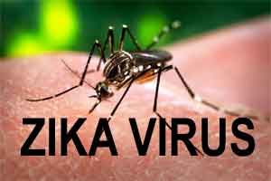 34 countries reports Zika virus: WHO