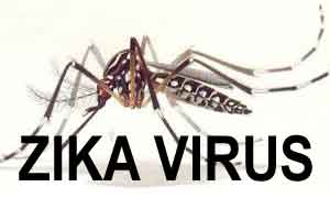 Govt to form technical group for ZIKA Survelience