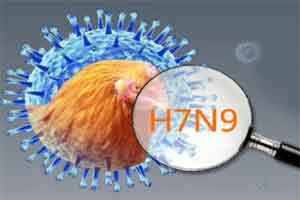 New human H7N9 case reported in China