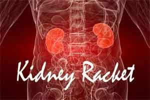 Gujarat: Major Kidney racket Unearthed