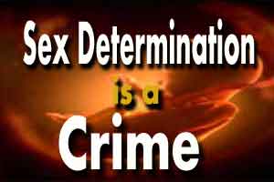 Sex determination racket busted in Haryana, Doctor nabbed