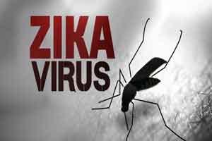 Zika virus may be transmitted through saliva, urine