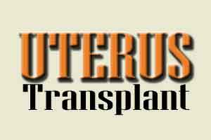 Uterus transplant technology to be available in India