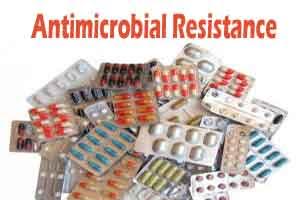 Antimicrobial resistance poses serious consequences: Nadda