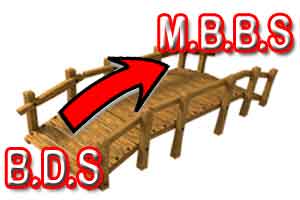 Bridge To Nowhere- IMA up against the idea of BDS-MBBS bridge course