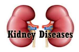 Kidney-related diseases almost doubled in past decade: IMA