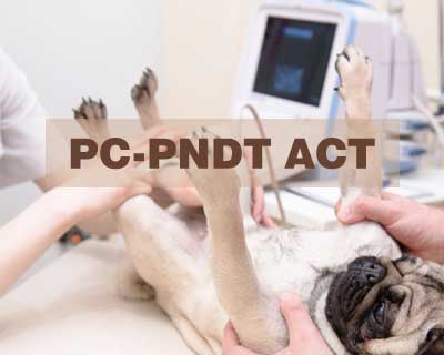 Maharashtra: Veterinary Centers to fall under PC-PNDT Act