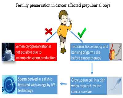 Kasturba Medical College achieves milestone in oncofertility