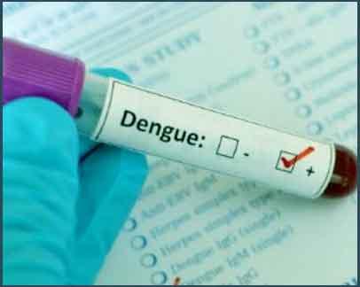 Dengue cases in Delhi mount to 650