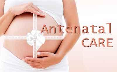 New antenatal care scheme for pregnant women launched