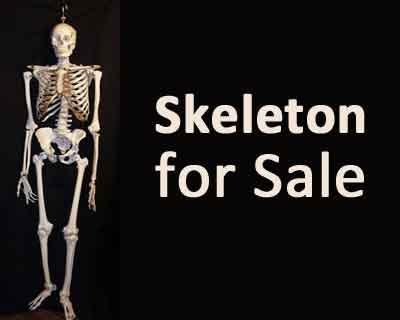 Sting Operation unearths Human skeletons being sold for Rs 8000 at Medical College