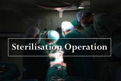 Sterilization operation cannot guarantee 100 percent result, hence no negligence in such cases : NCDRC