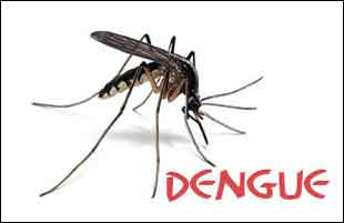 Dengue cases mount to 5870 in Delhi